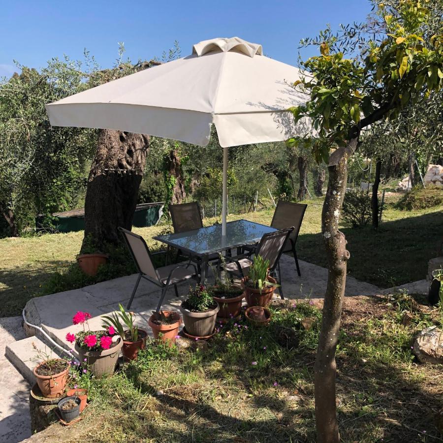 Casa Sofia Villa Dassiá Eksteriør bilde